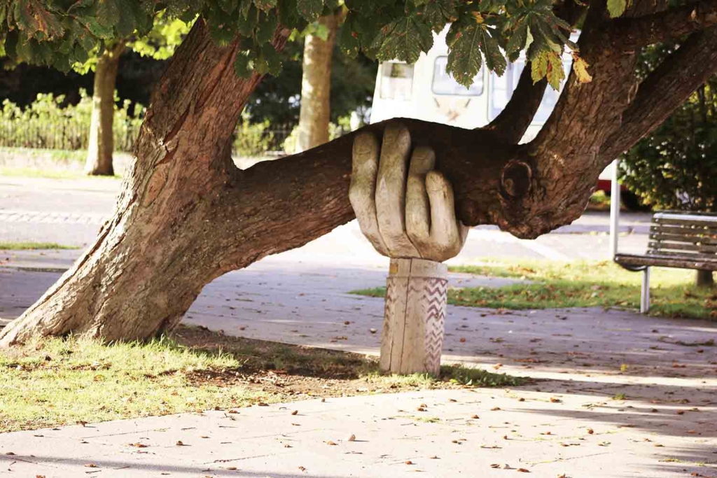 Hand holding tree