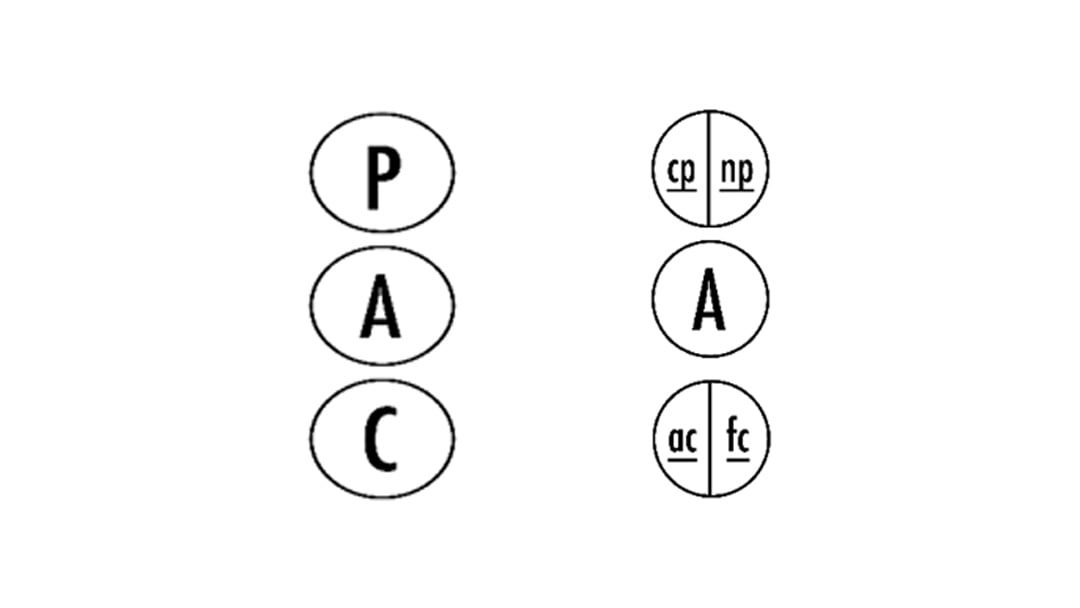 Transfroming-Potential-6-diag-1080x608